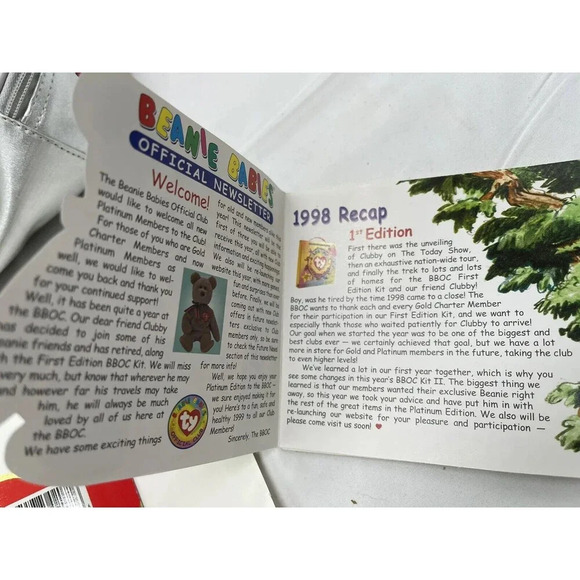 Ty Beanie Babies Silver Official Club Bag carrying Case 9”x 10” zip up lunchbox - Picture 8 of 16